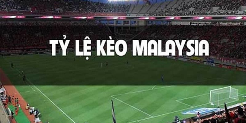 Điểm thu hút của tỷ lệ kèo Malaysia