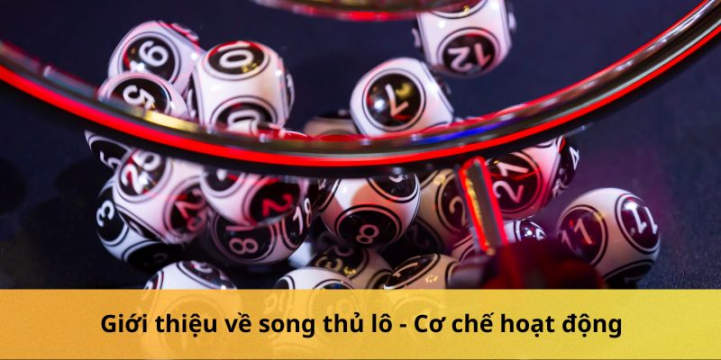 Giới thiệu về song thủ lô - Cơ chế hoạt động