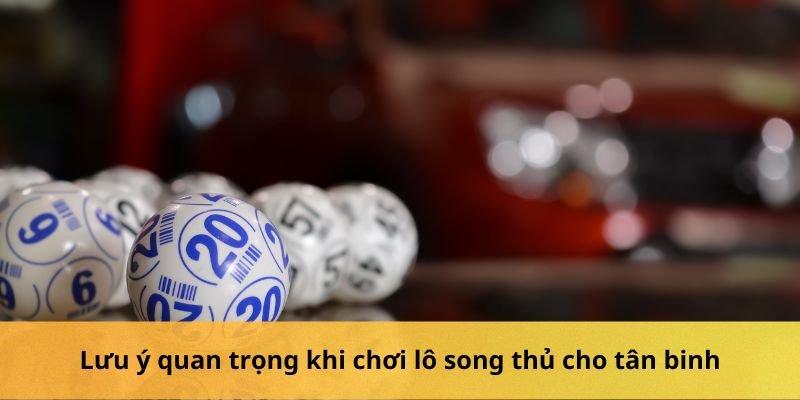 Lưu ý quan trọng khi chơi lô song thủ cho tân binh