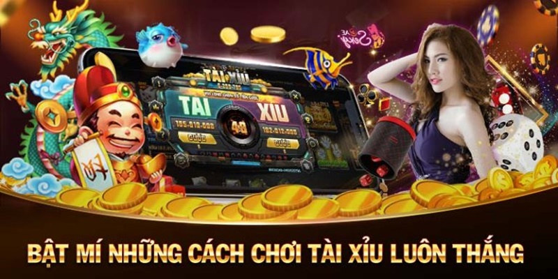 Bí quyết cách chơi tài xỉu dễ thắng từ cao thủ nhà cái