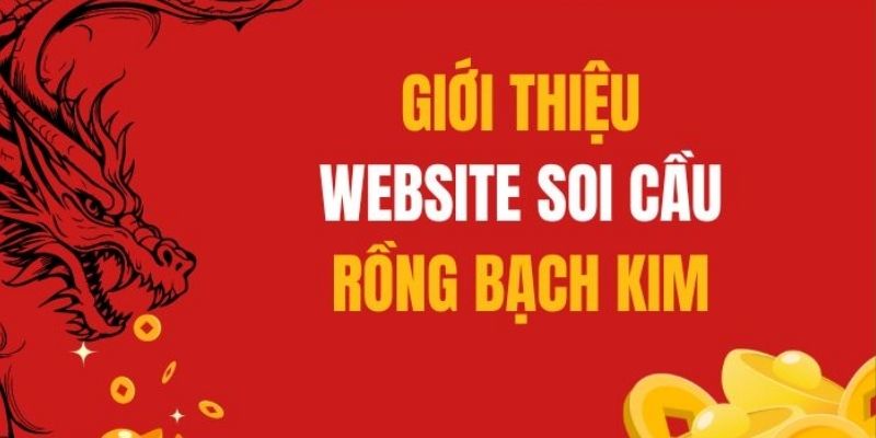 Những thông tin giới thiệu về website Rồng Bạch Kim